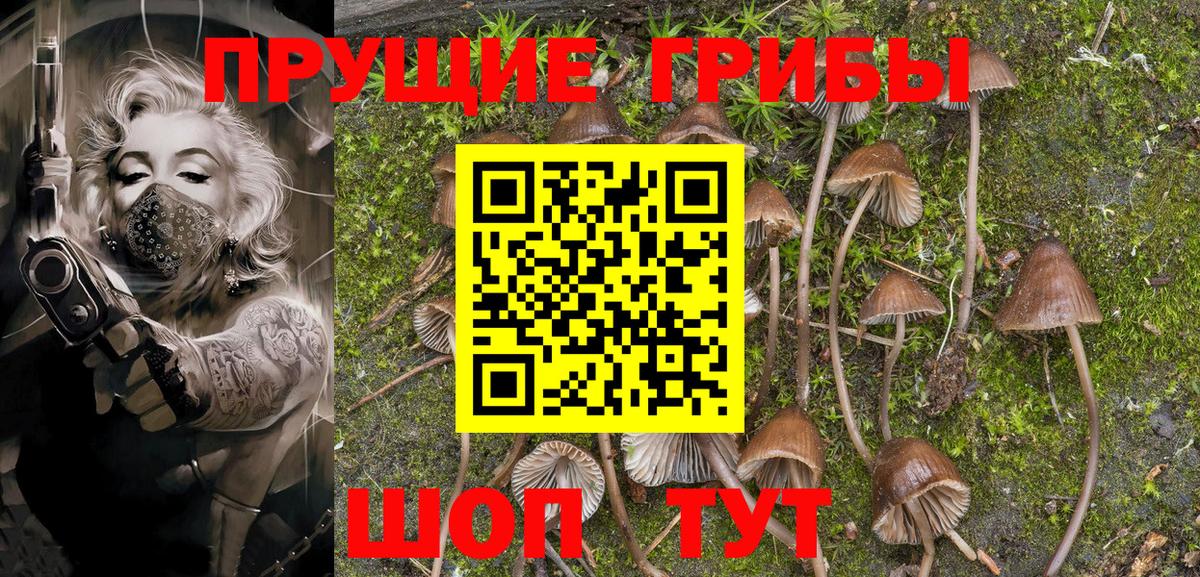 Псилоцибиновые грибы Psilocybine cubensis  Псилоцибиновые грибы Psilocybine cubensis  Вход с VPN  Уварово 