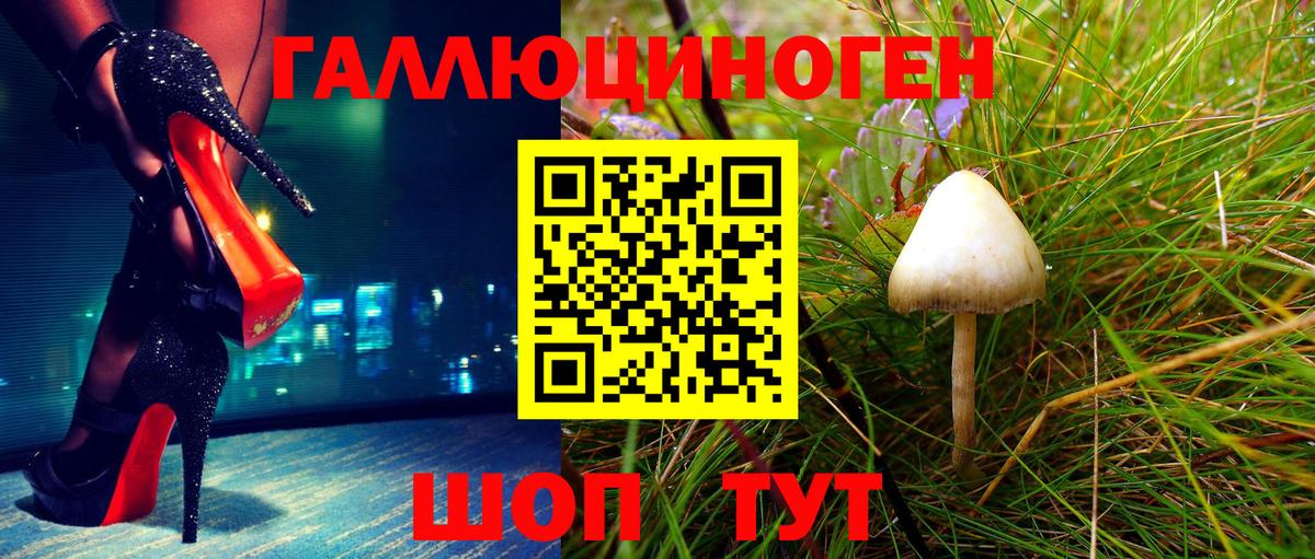 Псилоцибиновые грибы Psilocybe Уварово